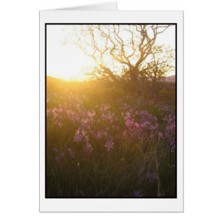 Sun setting on Mount Tolmie and Camas