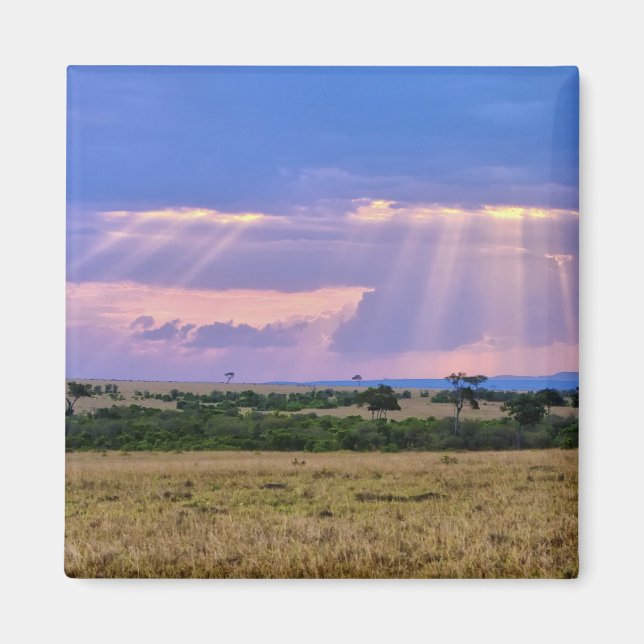 Sun setting on the Masai Mara. Magnet (Front)