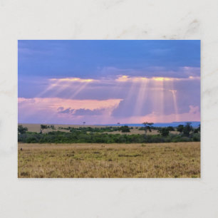 Sun setting on the Masai Mara. Postcard