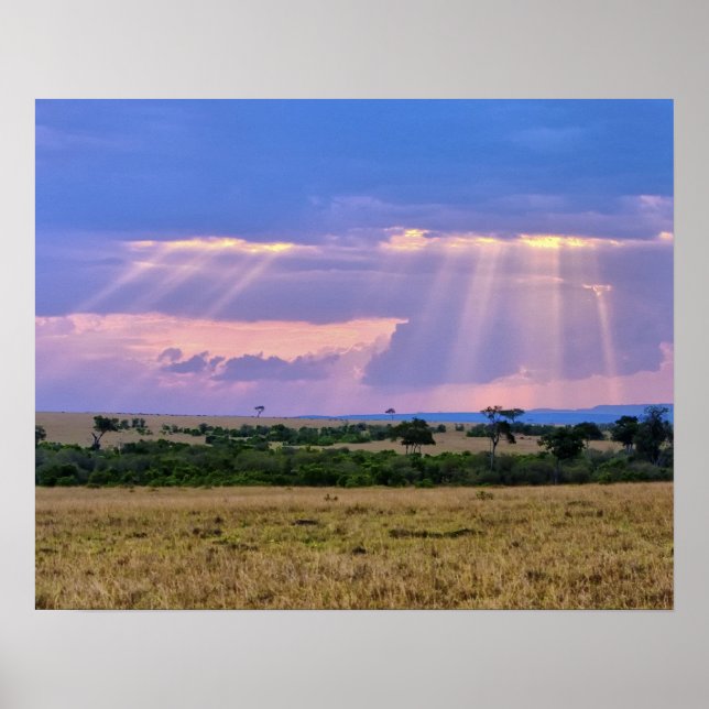 Sun setting on the Masai Mara. Poster (Front)
