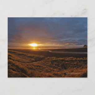 Sun setting over Tasman Sea and Piha Beach, West Postcard