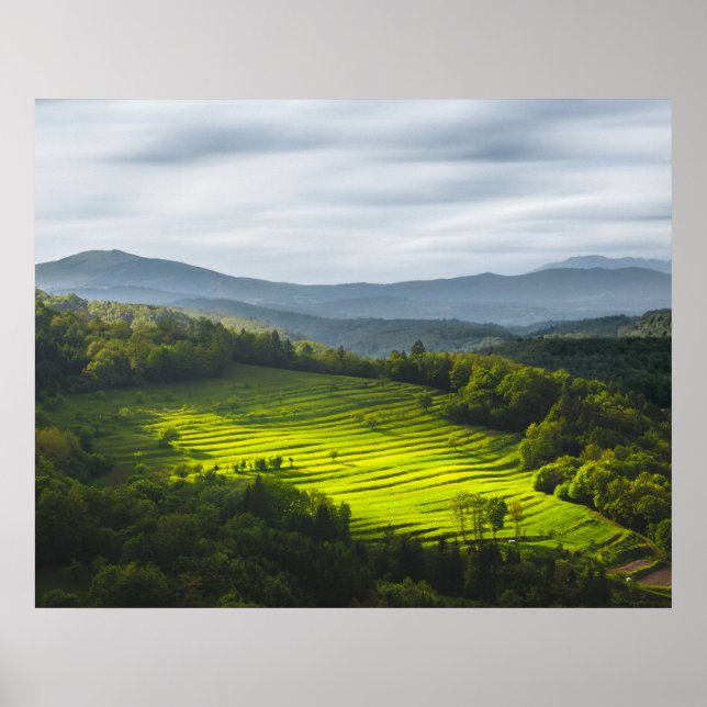Sun shining on field of terraces poster (Front)