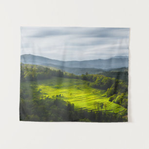 Sun shining on field of terraces tapestry