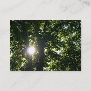 Sun Shining Through Trees Business Card