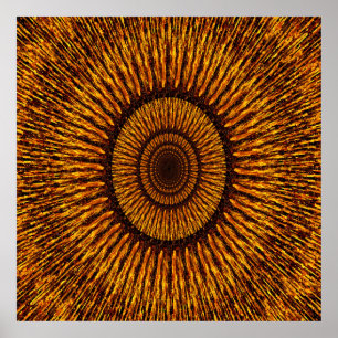 Sun Spray.... Poster