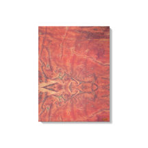 Sun Stretched Canvas Print