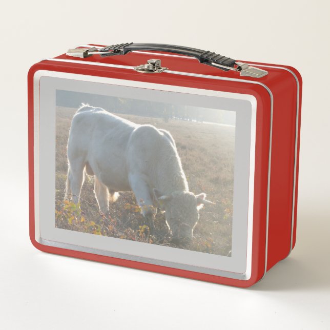 Sun Surrounded White Cow Lunchbox (Front)