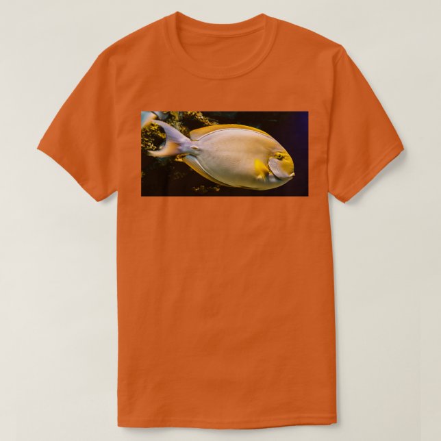 Sun T-Shirt (Design Front)