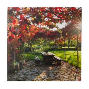 Sun through autumn leaves, Croatia Ceramic Tile