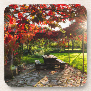 Sun through autumn leaves, Croatia Coaster