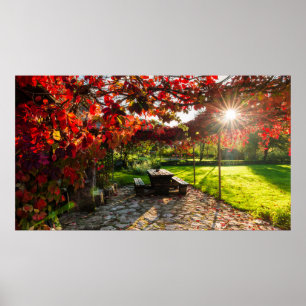 Sun through autumn leaves, Croatia Poster