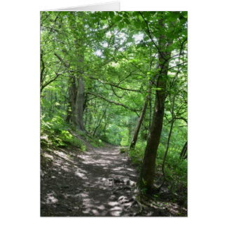 Sun Through The Trees