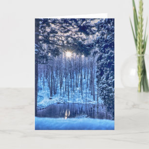 Sun through Trees onto Pond in Snow Holiday Card
