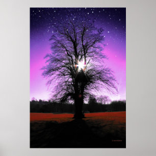 Sun-Tree-Stars Print