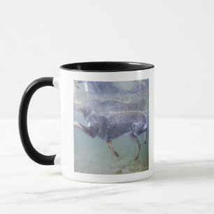 Sun Valley, Idaho, USA. Mug