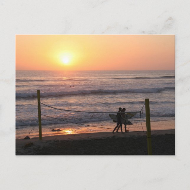 Sun Volley & Surf Postcard (Front)