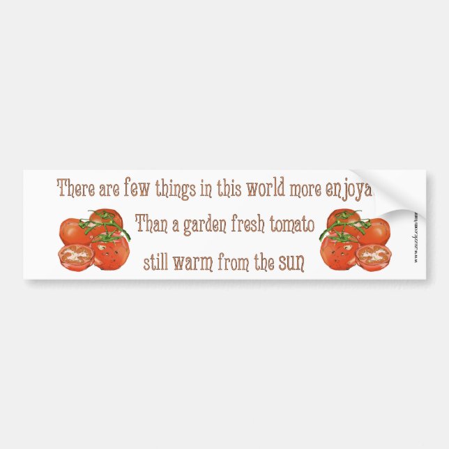 Sun Warmed Tomatoes Bumper Sticker (Front)