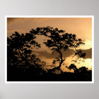 sun watcher poster