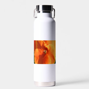 Sun water bottle