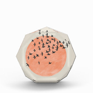 Sun with Flock of Birds Photo Block