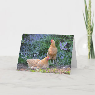 Sunbathing Hens Notecard