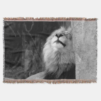 Sunbathing Lion Throw Blanket