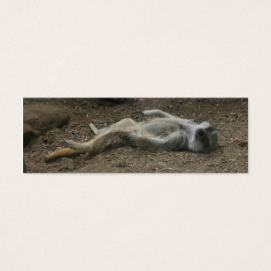 Sunbathing Meerkat Bookmark