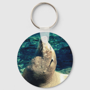 Sunbathing Sea Lion Key Ring
