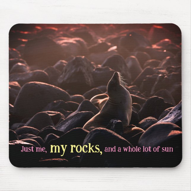 Sunbathing sea lion mouse pad (Front)