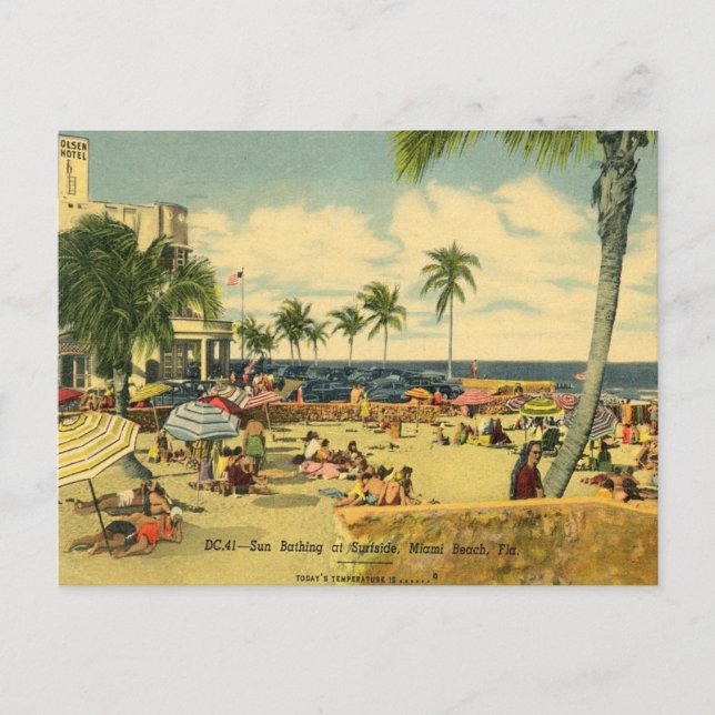 Sunbathing Seaside at Miami Beach. Holiday Postcard (Front)