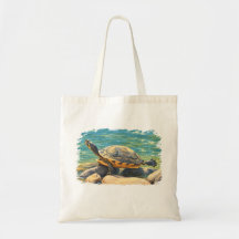 Sunbathing Turtle on River Rocks Nature Art