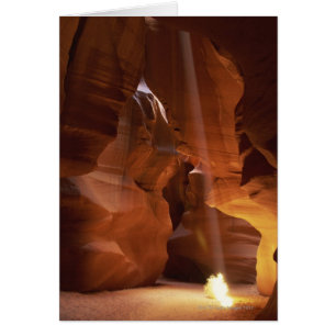 Sunbeam hitting tumbleweed on canyon floor