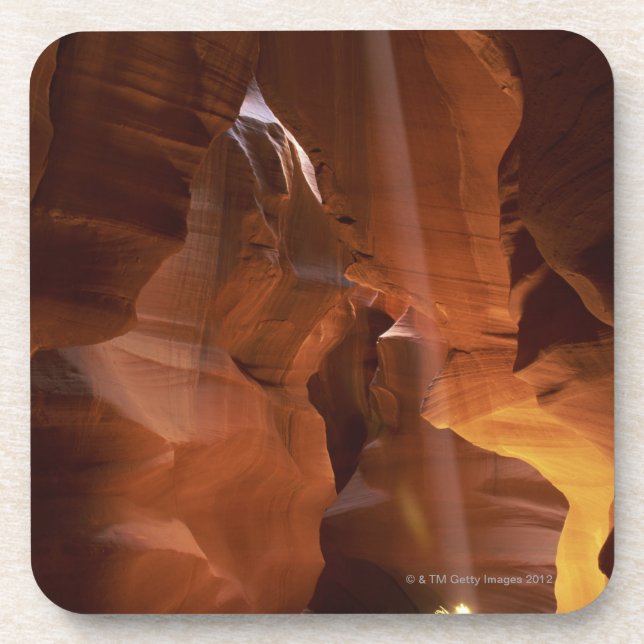 Sunbeam hitting tumbleweed on canyon floor coaster (Front)