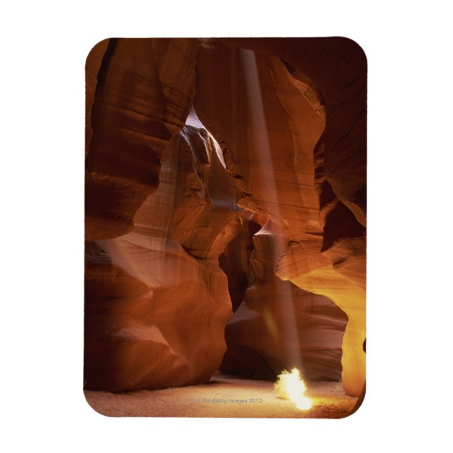 Sunbeam hitting tumbleweed on canyon floor magnet (Vertical)