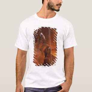 Sunbeam hitting tumbleweed on canyon floor T-Shirt