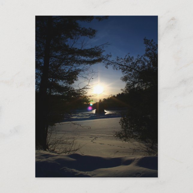 Sunbeams and Daydreams Postcard (Front)