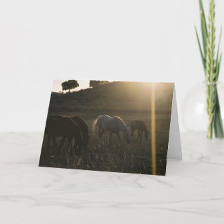 Sunbeams from Heaven - Photo Greeting Card