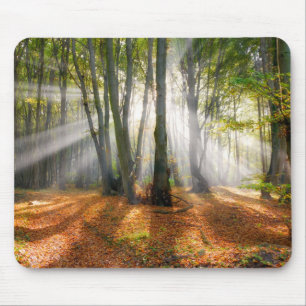 Sunbeams in a misty beech tree forest in autumn - mouse pad