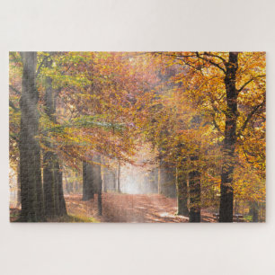 Sunbeams in an autumn forest jigsaw puzzle