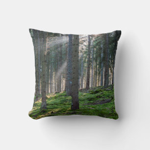 Sunbeams in the Black Forest Cushion