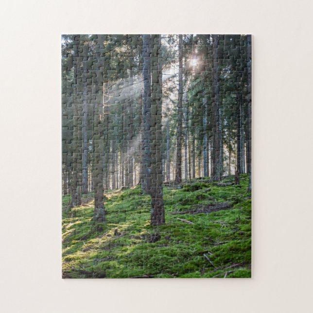 Sunbeams in the Black Forest Jigsaw Puzzle (Vertical)