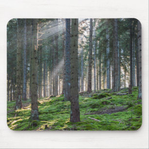 Sunbeams in the Black Forest Mouse Pad