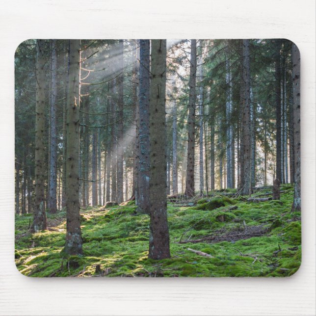Sunbeams in the Black Forest Mouse Pad (Front)