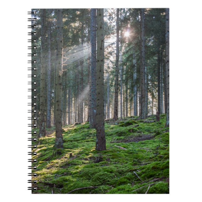 Sunbeams in the Black Forest Notebook (Front)