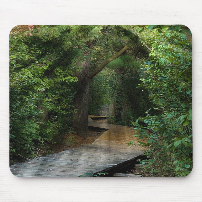Sunbeams in Woods Mouse Pad (Front)