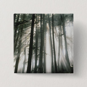 Sunbeams streaming through trees, Mount Rainier 15 Cm Square Badge