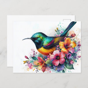 Sunbird Watercolor Art Postcard