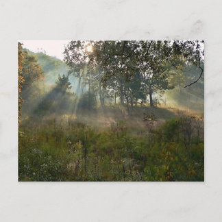 sunburst 07 postcard