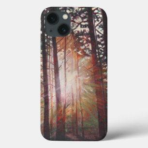 Sunburst 2010 iPhone 13 case