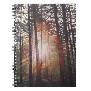Sunburst 2010 notebook
